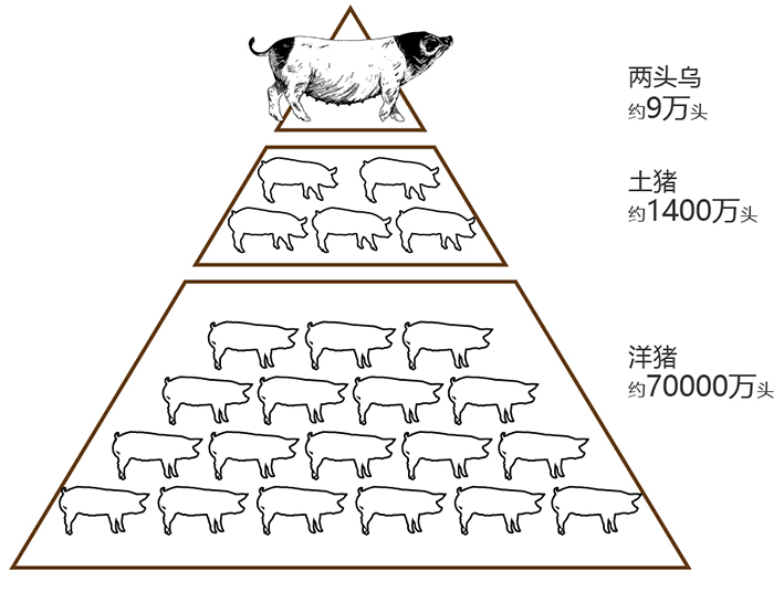 香港现场直播结果开奖