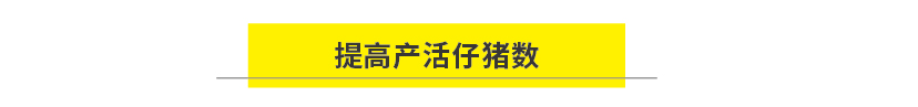 香港现场直播结果开奖